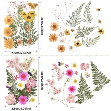 Nuanchu Pressed Flowers for Crafts - Vibrant & Natural