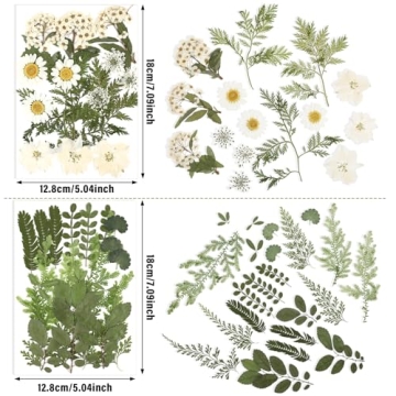 Nuanchu Pressed Flowers for Crafts - Vibrant & Natural