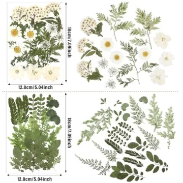 Nuanchu Pressed Flowers for Crafts - Vibrant & Natural