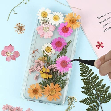 Nuanchu Pressed Flowers for Crafts - Vibrant & Natural