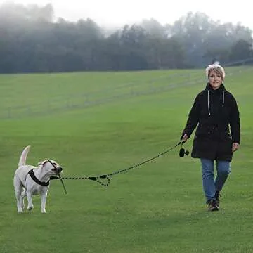 Plutus Pet Rope Dog Leash 6ft Long,Traffic Padded Two Handle,Heavy Duty,Reflective Double Handles Lead for Control Safety Training,Leashes for Large Dogs or Medium Dogs,Dual Handles Leads(Black)