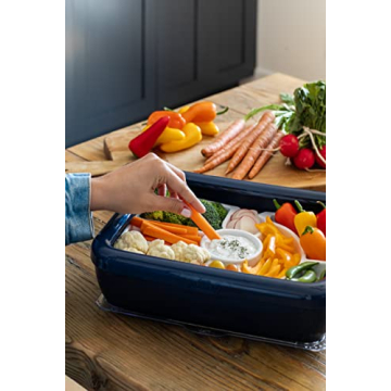 Fancy Panz Trayz Insert for Elegant Entertaining