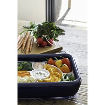 Fancy Panz Trayz Insert for Elegant Entertaining