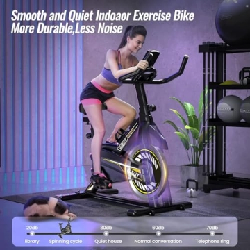 Compact Quiet Indoor Exercise Bike with LCD Monitor
