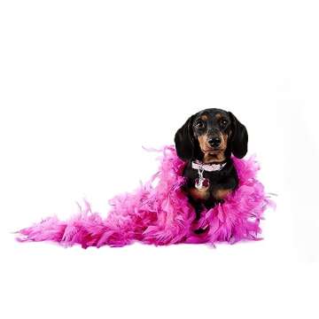 REVELER Pink Feather Boa | Fun Feather Boas for Adults | Great Mardi Gras Decorations | Perfect with Pink Accessories | Boas for Party Bulk | Real Turkey Feathers | The perfect Pink Boa (Pink)