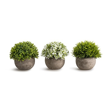Opps Artificial Mini Plants in Gray Pot - Set of 3