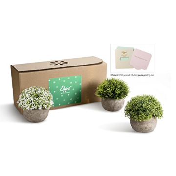 Opps Artificial Mini Plants in Gray Pot - Set of 3