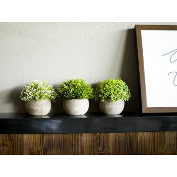 Opps Artificial Mini Plants in Gray Pot - Set of 3