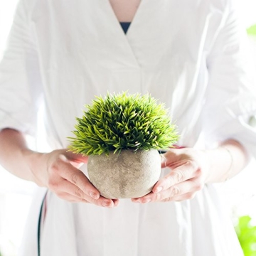 Opps Artificial Mini Plants in Gray Pot - Set of 3