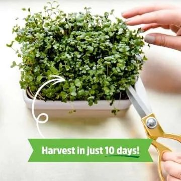 Back to the Roots Organic Microgreens Grow Kit with Ceramic Planter, Expandable Soil, Organic Seeds, and Germination Lid