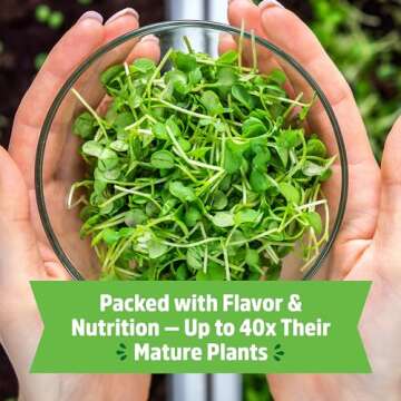 Back to the Roots Organic Microgreens Grow Kit with Ceramic Planter, Expandable Soil, Organic Seeds, and Germination Lid