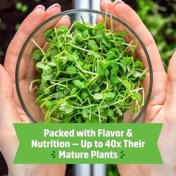 Back to the Roots Organic Microgreens Grow Kit with Ceramic Planter, Expandable Soil, Organic Seeds, and Germination Lid