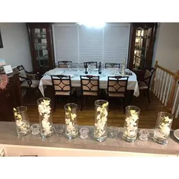 Floral Supply Online 10" Tall x 5" Wide Cylinder Glass Vase and Flower Guide Booklet -for Weddings, ...