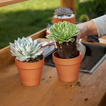 KOAMLY 3 inch Plant Nursery pots Number of Items in a 20 Pack, with Drain, Succulent Seedling Planter, use with Indoor, windowsill, Terra Cotta red Flower pots Wedding Decoration Best Gift for Aunts