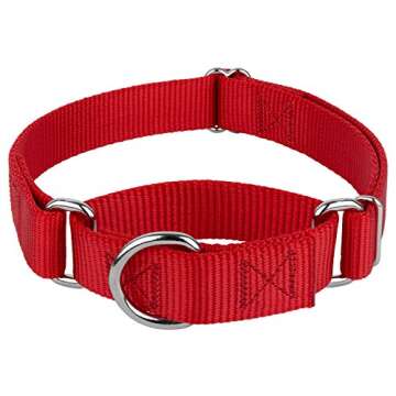 Country Brook Petz Martingale Dog Collar - Heavy-Duty Training Collar with No Buckle - Service Dog Collar for All Pups - Vibrant, Colorful Collection (Red, 1 Inch, Medium)