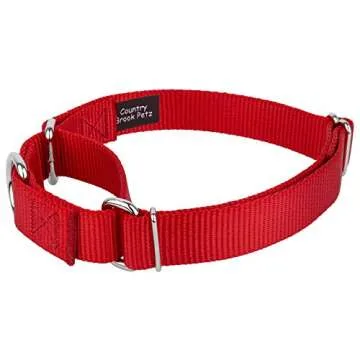 Country Brook Petz Martingale Dog Collar - Heavy-Duty Training Collar with No Buckle - Service Dog Collar for All Pups - Vibrant, Colorful Collection (Red, 1 Inch, Medium)