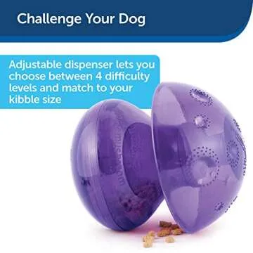 Engaging Busy Buddy Magic Mushroom Dog Toy for All Dogs