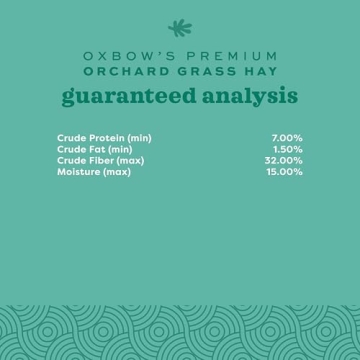 Oxbow Orchard Grass Hay for Rabbits and Guinea Pigs - 15 oz.
