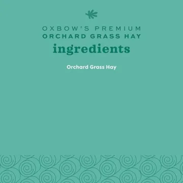 Oxbow Orchard Grass Hay for Rabbits and Guinea Pigs - 15 oz.
