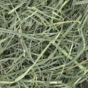 Oxbow Orchard Grass Hay for Rabbits and Guinea Pigs - 15 oz.