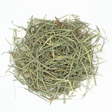 Oxbow Orchard Grass Hay for Rabbits and Guinea Pigs - 15 oz.