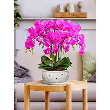 5 Quarts Orchid Potting Bark, Sun-Dried New Zealand Medium Organic Pine Wood Chip Barks for Orchids ...