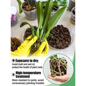 5 Quarts Orchid Potting Bark, Sun-Dried New Zealand Medium Organic Pine Wood Chip Barks for Orchids Plant Compost Soil, Natural Houseplant Mulch for Plant Development