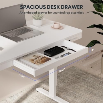 FLEXISPOT Comhar Electric Standing Desk with USB Charging