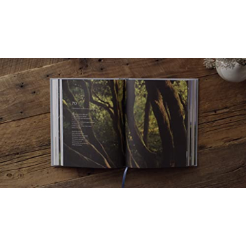 ESV Psalms Photography Edition Engaging Scriptures and Art