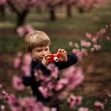 Kidamento Kids Digital Camera & Video Camcorder - Fox Design