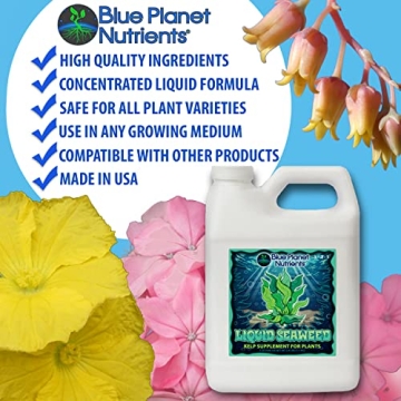 Liquid Seaweed for Plants - Organic Kelp Booster | 32oz