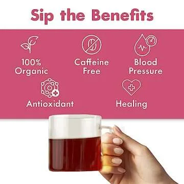 Big Heart Tea Co. Tea Bags - Blushing Pink Hibiscus - Certified Organic, Naturally Sweet Ayurvedic Herbal Decaf Tea with Small Batch Ground Herbs - Adaptogenic Tulsi and Lemongrass, 10 Tea Bags