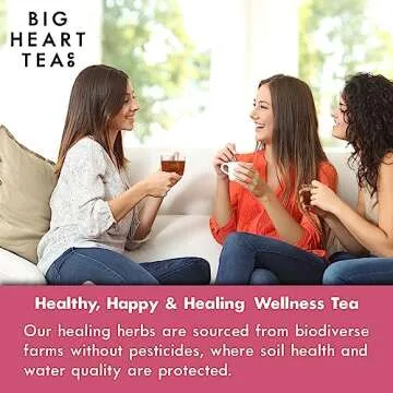 Big Heart Tea Co. Tea Bags - Blushing Pink Hibiscus - Certified Organic, Naturally Sweet Ayurvedic Herbal Decaf Tea with Small Batch Ground Herbs - Adaptogenic Tulsi and Lemongrass, 10 Tea Bags