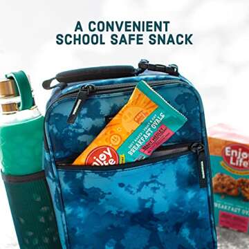 Enjoy Life Foods Soft Baked Ovals, Breakfast Bars, Nut Free Bars, Soy Free, Dairy Free, Non GMO, Gluten Free, Vegan, Variety Pack, 4 Boxes (20 Bars Total)