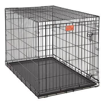MidWest Homes for Pets XL Dog Crate | MidWest Life Stages Folding Metal Crate | Divider Panel, Floor Protecting Feet, Leak-Proof Pan | 48L x 30W x 33H Inches, XL Dog Breed