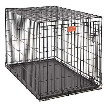 MidWest Homes for Pets XL Dog Crate | MidWest Life Stages Folding Metal Crate | Divider Panel, Floor Protecting Feet, Leak-Proof Pan | 48L x 30W x 33H Inches, XL Dog Breed