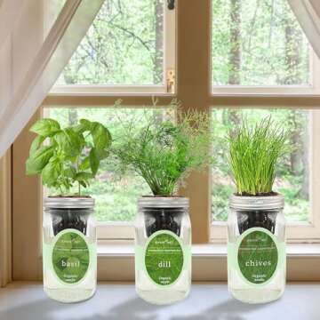 Environet Hydroponic Herb Growing Kit Set - Indoor Mason Jar Garden