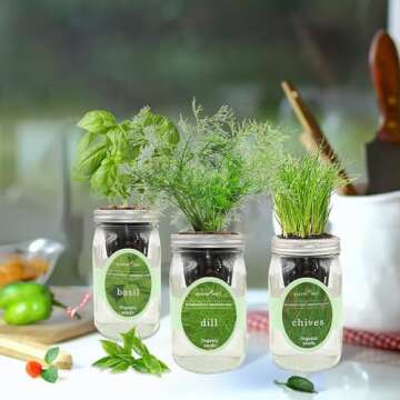 Environet Indoor Hydroponic Herb Garden Starter Kit Set