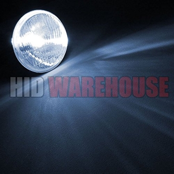 HID-Warehouse H11 8000K HID Xenon Replacement Bulbs - Bright Blue