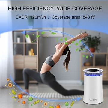AZEUS Air Purifier H13 True HEPA Technology for Homes