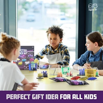 Dan&Darci Crystal Growing Kit STEM Science Fun for Kids