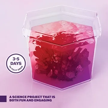 Dan&Darci Crystal Growing Kit STEM Science Fun for Kids