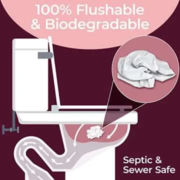 BOOTY WIPES Flushable Wipes Women - 80 Count, Pack of 4 Wet Wipes for Adults - pH Balanced Feminine Wipes with Aloe and Vitamin E - Gentle Cleansing Female Toilet Wipes for Sensitive Skin