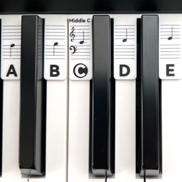 BEATBIT Piano Notes Guide for Beginners - Silicone Labels