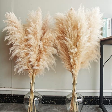 Chic 40" Pampas Grass Decor - Stems for Home & Events