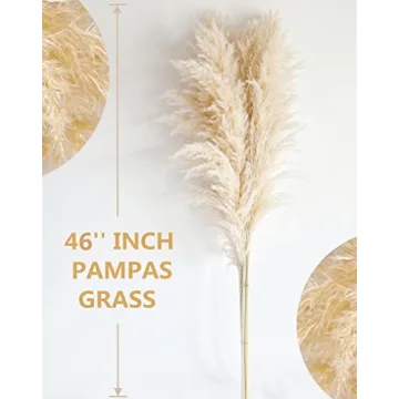Chic 40" Pampas Grass Decor - Stems for Home & Events
