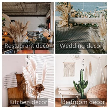 Chic 40" Pampas Grass Decor - Stems for Home & Events