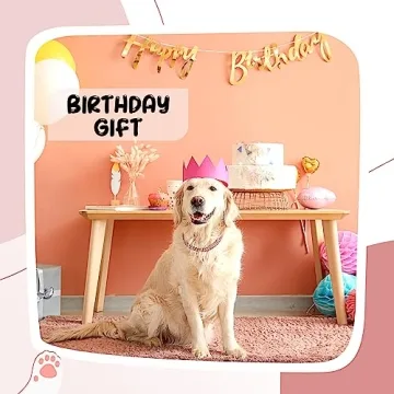 Stylish LEIFIDE Dog Chain Collar with Diamonds