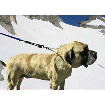 JERK-EASE BUNGEE DOG LEASH EXTENSION – Patented Shock Absorber Attachment Protects You and Your Dogs – Works with ANY Leash & Collar or Harness – a MUST for Retractable Leashes – PICK SIZE/COLOR BELOW