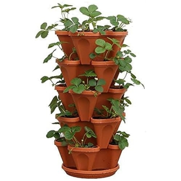 Mr Stacky 5-Tier Planter Pot for Strawberry Gardens